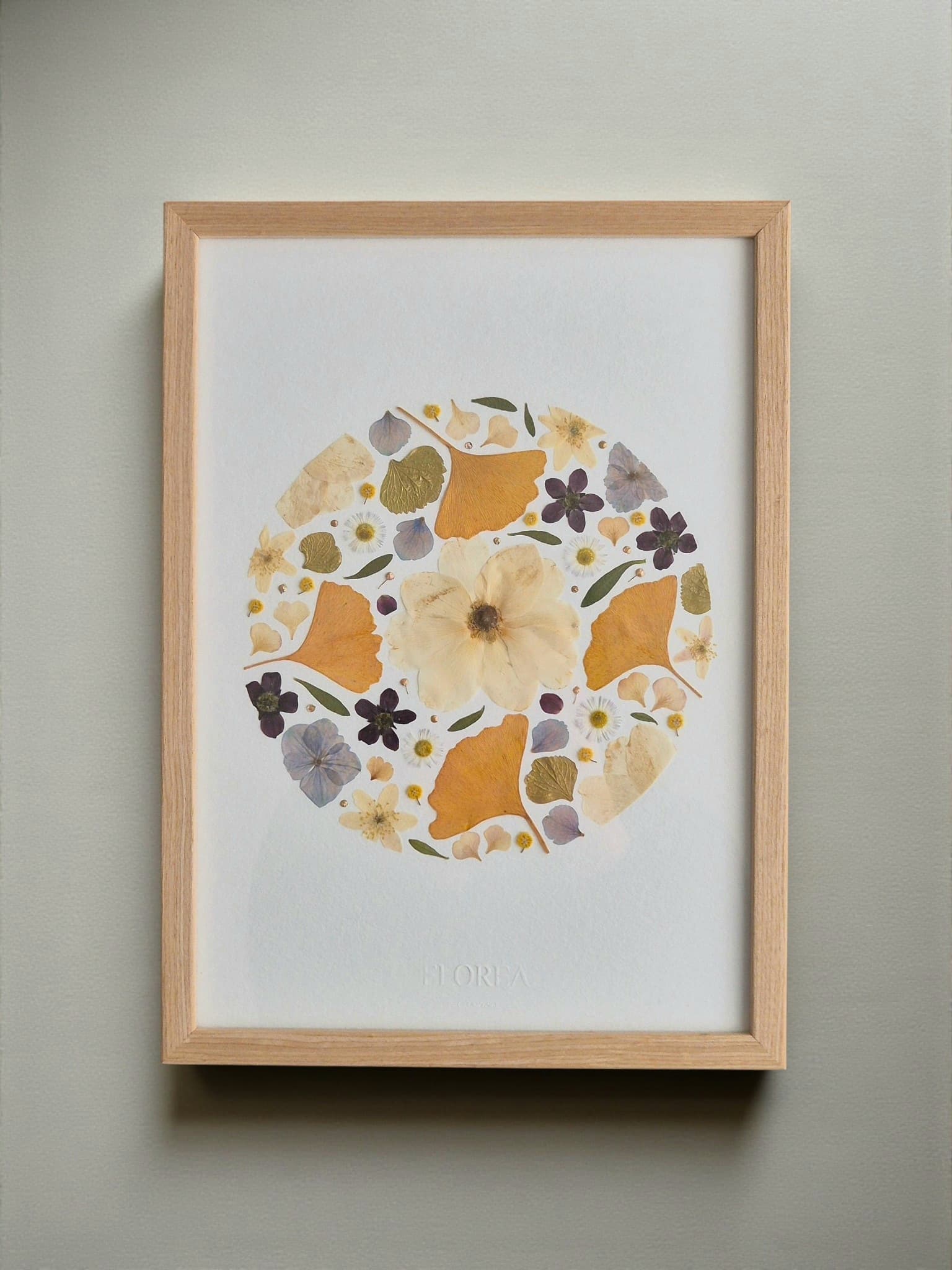 Herbier Ginkgo (circulaire)