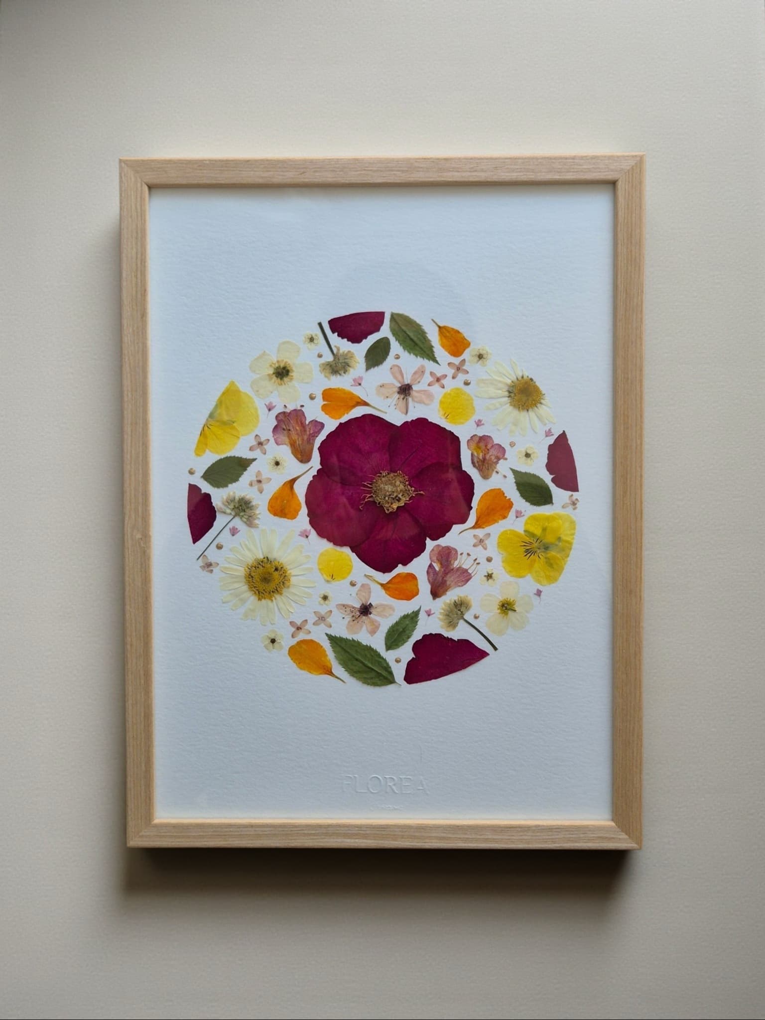 Herbier Éclat de Rose
