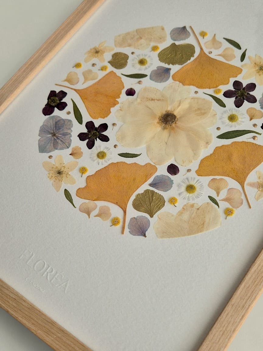 Herbier Ginkgo (circulaire)