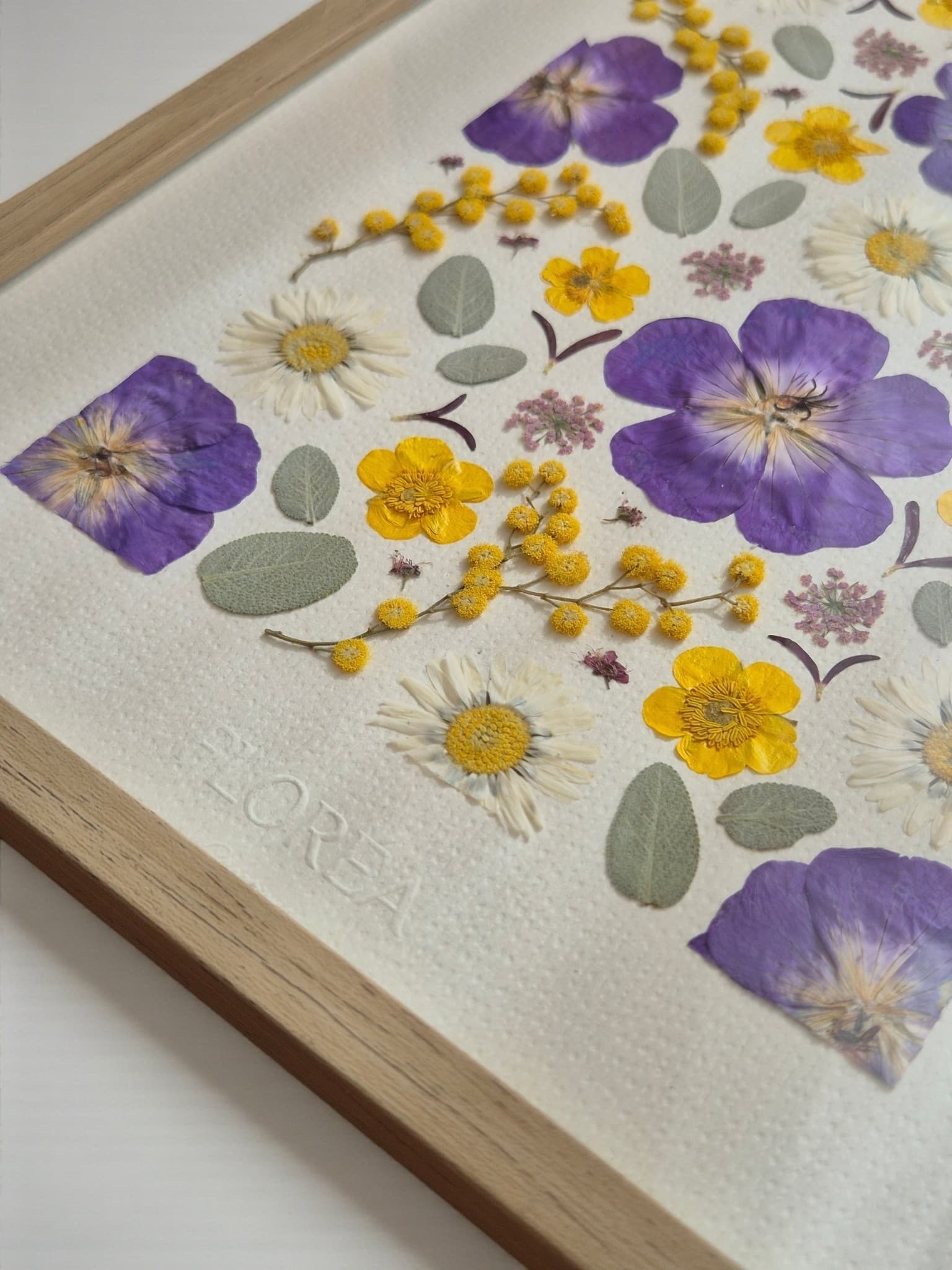 Herbier Luz